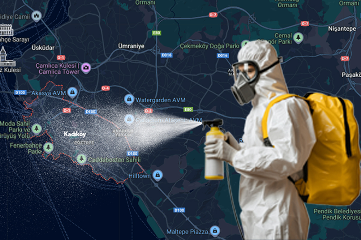 Kadıköy Böcek İlaçlama