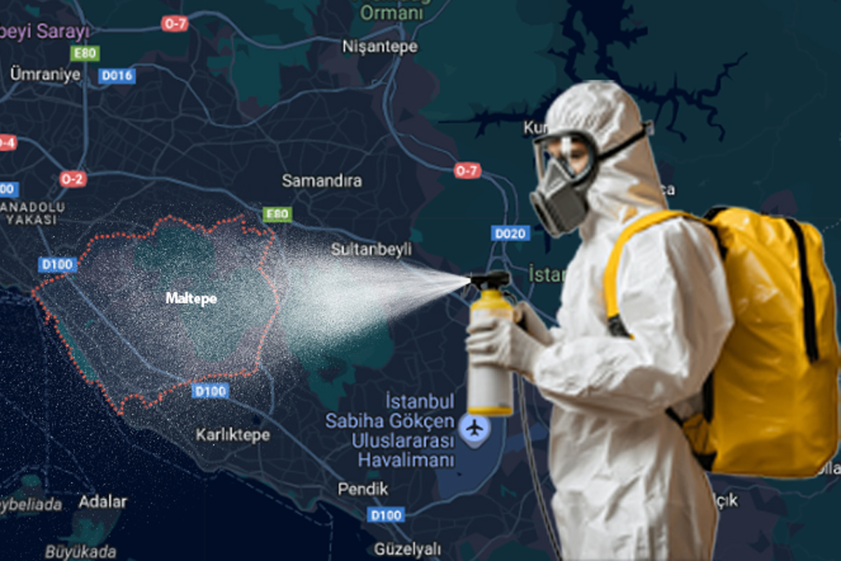 Maltepe Böcek İlaçlama