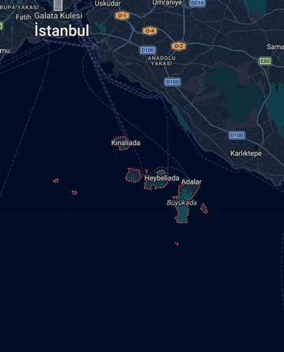 Adalar Böcek İlaçlama