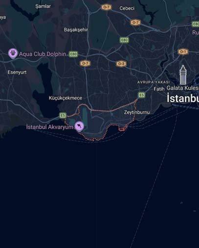 Bakırköy böcek ilaçlama