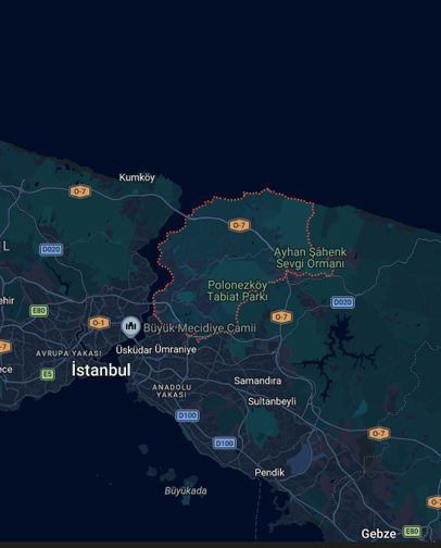 beykoz böcek ilaçlama